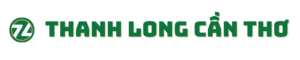 GẠCH ỐP LÁT CẦN THƠ